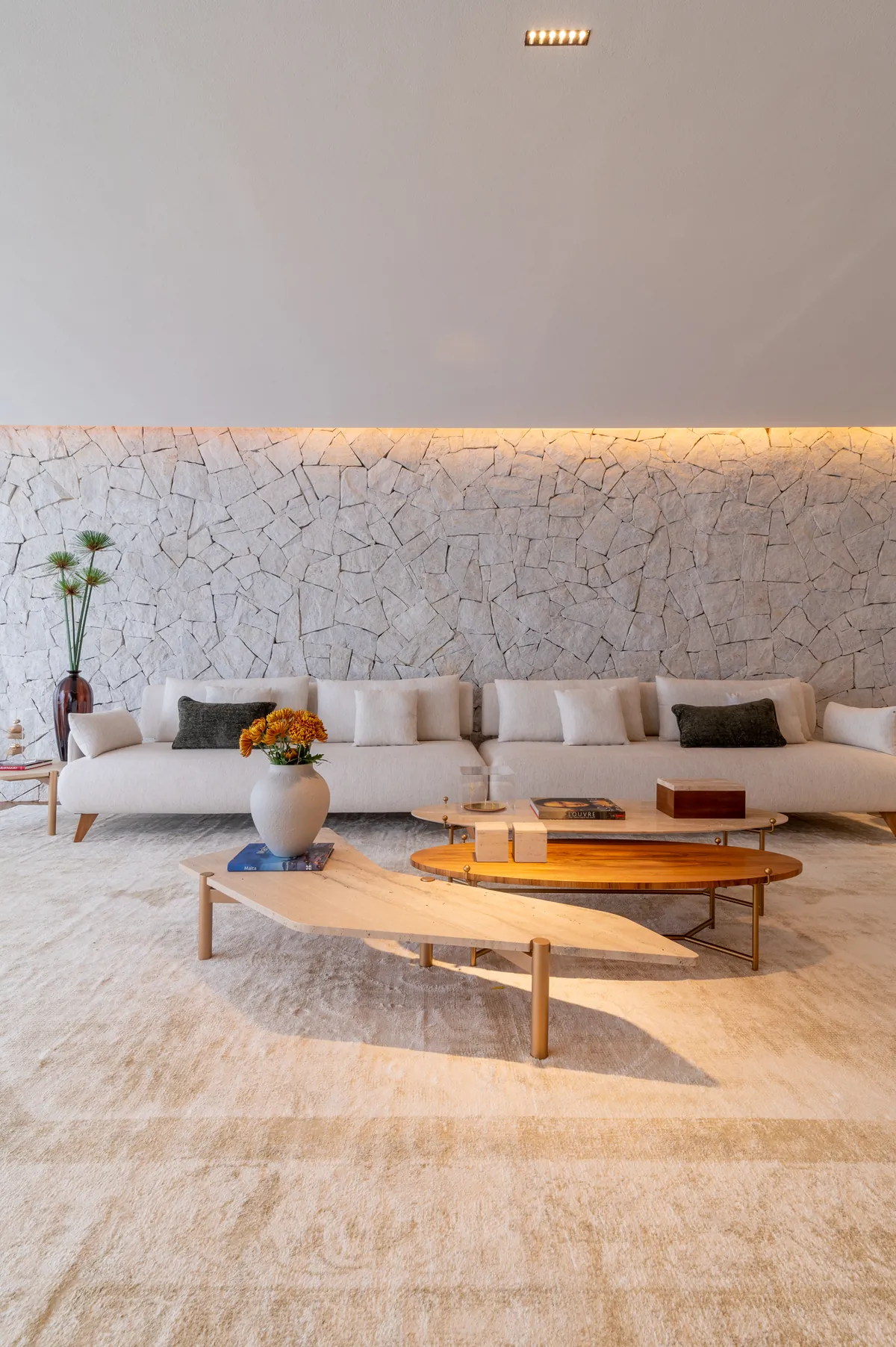 Sala com parede de pedra natural, sofá claro e mesa de centro orgânica